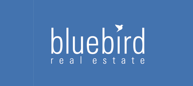 Bluebird Real Estate 