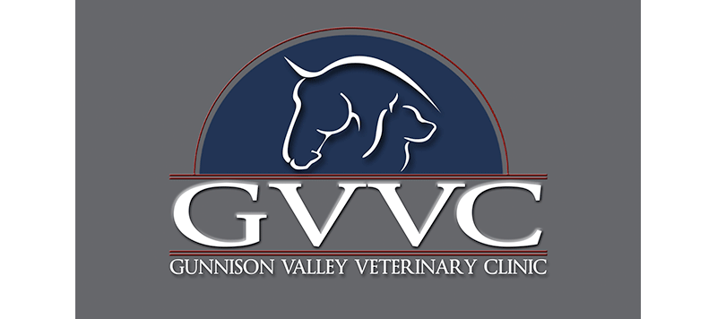 Gunnison Valley Veterinary Clinic